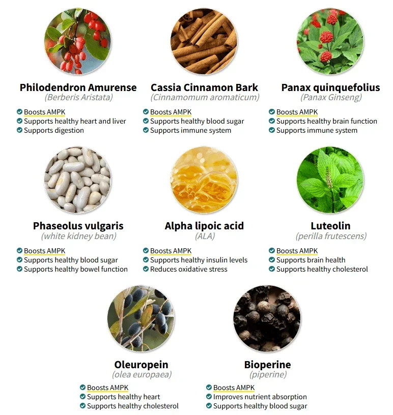 CarboFire ingredients synergy